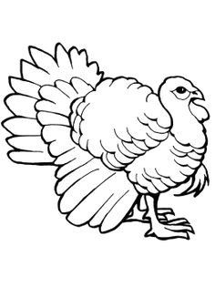 turkey tom thanksgiving worksheets thanksgiving coloring pages thanksgiving activities for kids thanksgiving turkey