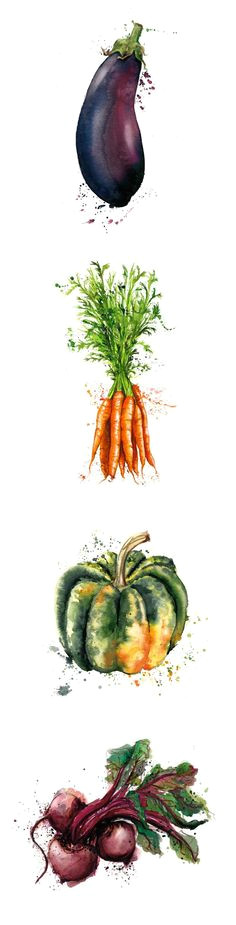 vegetables illustration drawing verdure illustrazione disegno art by georgina luck watercolor