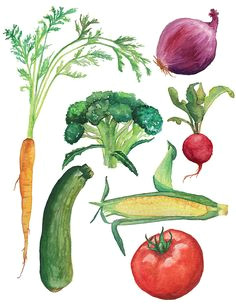 vegetables watercolor