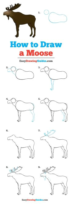 how to draw a moose really easy drawing tutorial