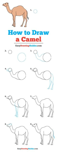 how to draw a camel really easy drawing tutorial