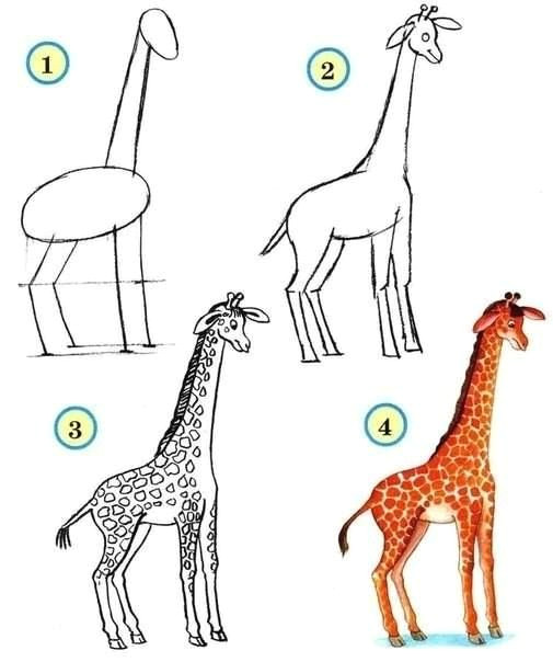 how to draw zoo animals easily www fabartdiy com
