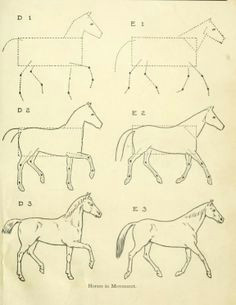 from a public domain book drawing made easy a helpful book for young