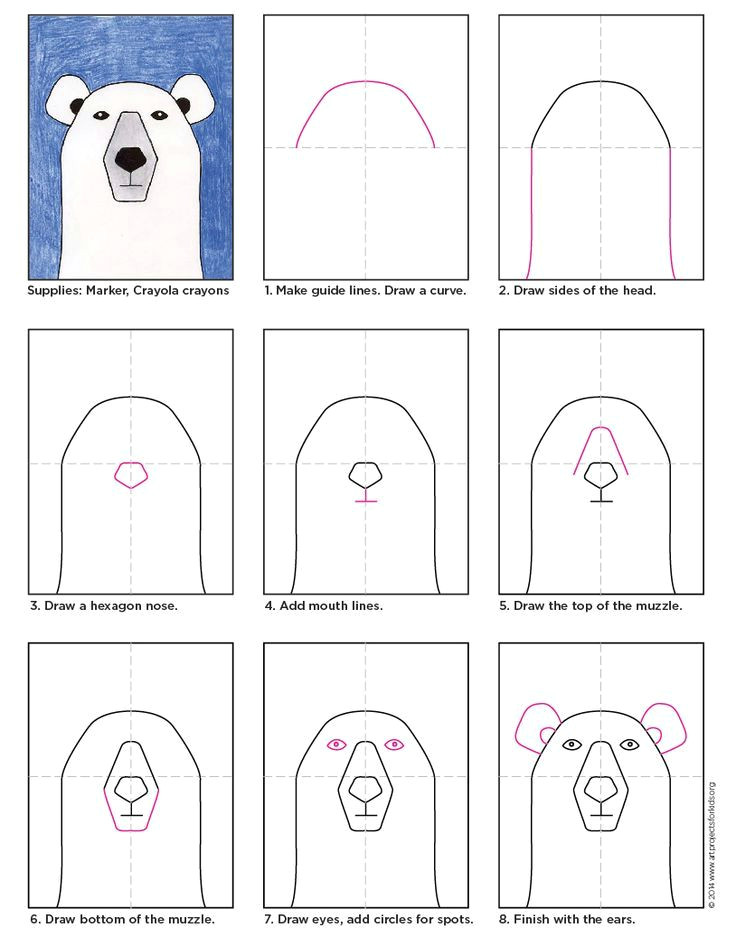 basic drawing tutorial for elementary draw a polar bear pdf tutorial available artprojectsforkids howtodraw polarbear