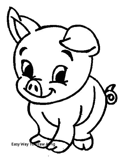 easy way to draw a pig 19 best pig drawings images on pinterest of easy way