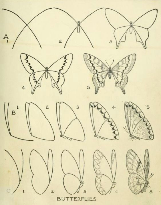 from a public domain book drawing made easy a helpful book for young