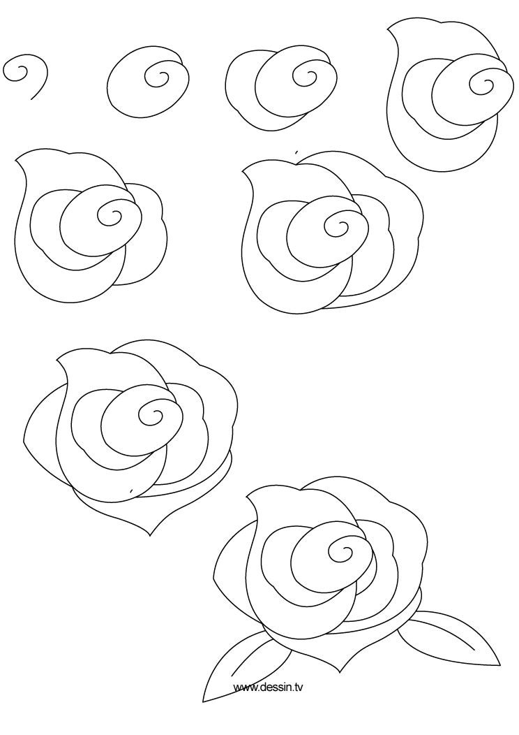 100 best how to draw tutorials flowers images drawing techniques learn drawing drawing flowers