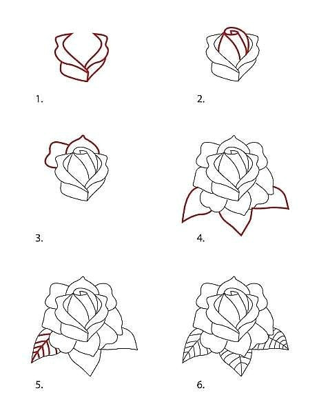 rosa easy to draw rose how to draw roses how to draw flowers step