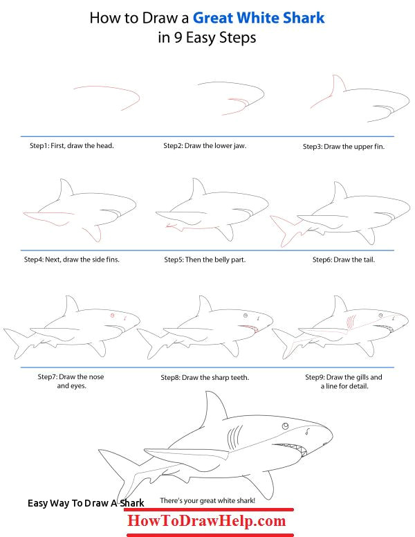 easy way to draw a shark 967 best how to draw tutorials images on pinterest of