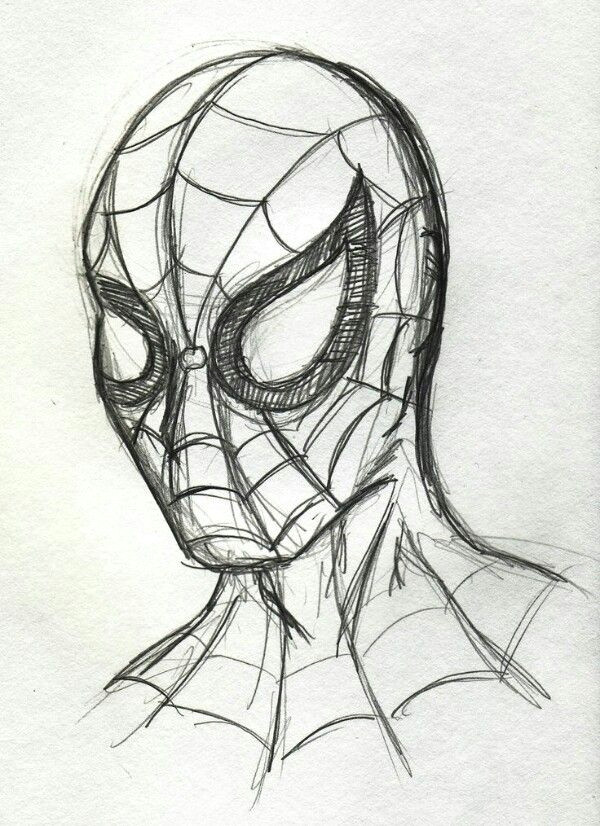 spiderman drawing more