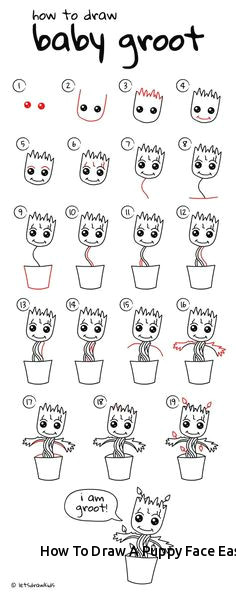 how to draw a puppy face easy step by step how to draw a cat from