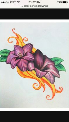 easy colored pencil drawings of flowers all the gallery you need