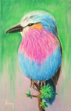 soft pastels beginners soft pastel artwork by a 9 year old student learning chalk