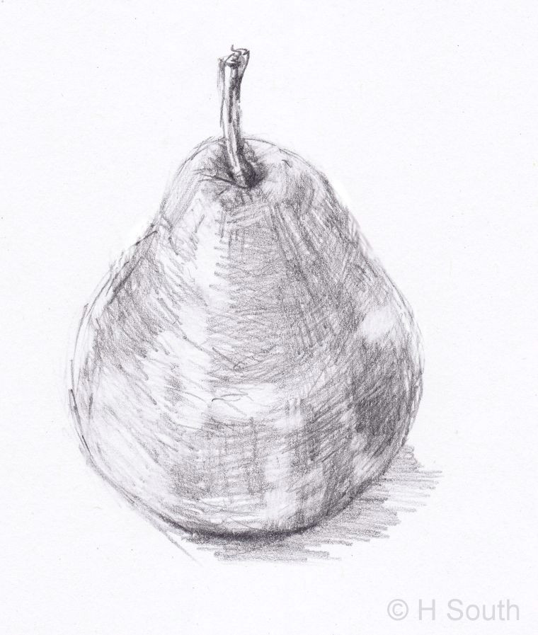 pear drawing 3 56a26d6b3df78cf772758a1c jpg