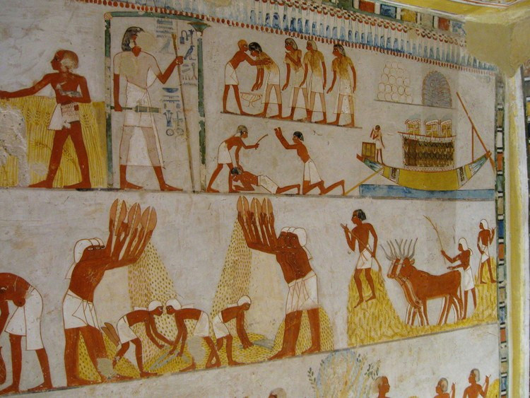 social structure in ancient egypt
