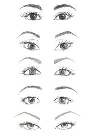 how to draw realistic eyebrows step by step google search how to draw realistic