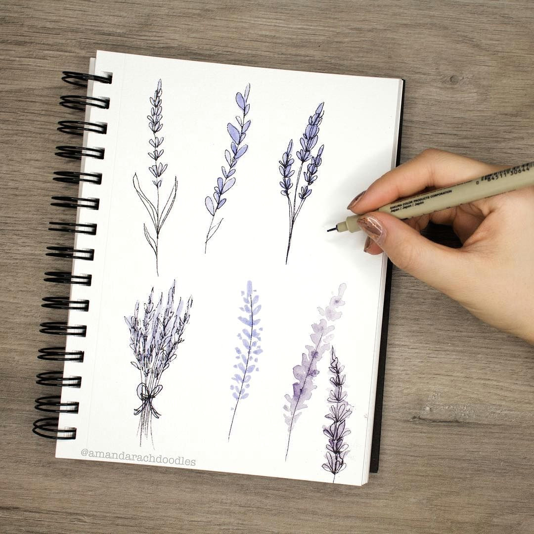 Easy Hope Drawings Just Uploaded A Doodle Tutorial On Drawing Cute Lil Lavender Flowers