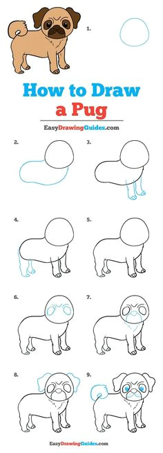 how to draw a pug really easy drawing tutorial