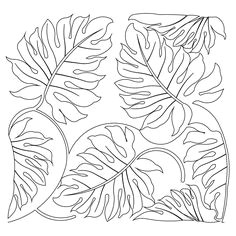 jungle leaves coloring page leaf drawing doodle drawing leaf template templates paper