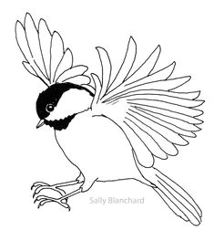 chickadee clipart black and white 20