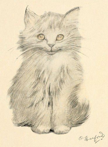 kitten portrait i love all of the cat drawings by oliver herford from this book except for the eyes it s clear that this is a pencil drawn cat