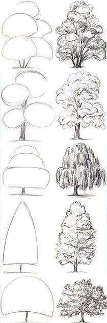 rysunki na stylowi pl drawing trees tree drawing simple drawings of trees