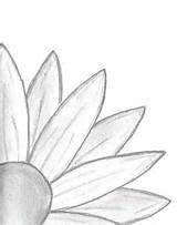 easy flower drawings easy nature drawings art drawings sketches simple easy simple drawings