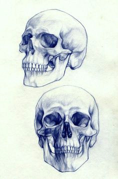 tattoo drawing of skulls pencil drawings skull drawings skull sketch