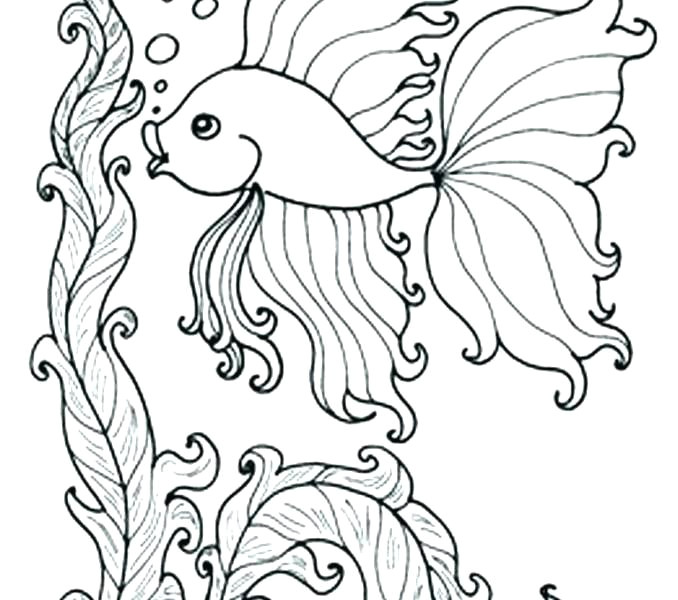 coloring pages drawings of animals draw in print with
