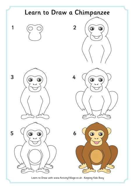magra per disegnare uno scimpanze draw animals for kids easy animals drawing tips