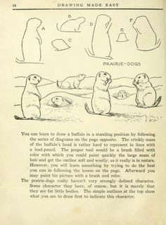 today s drawing class featuring lessons from the 1921 vintage book drawing made easy a helpful book for young artists by e lutz