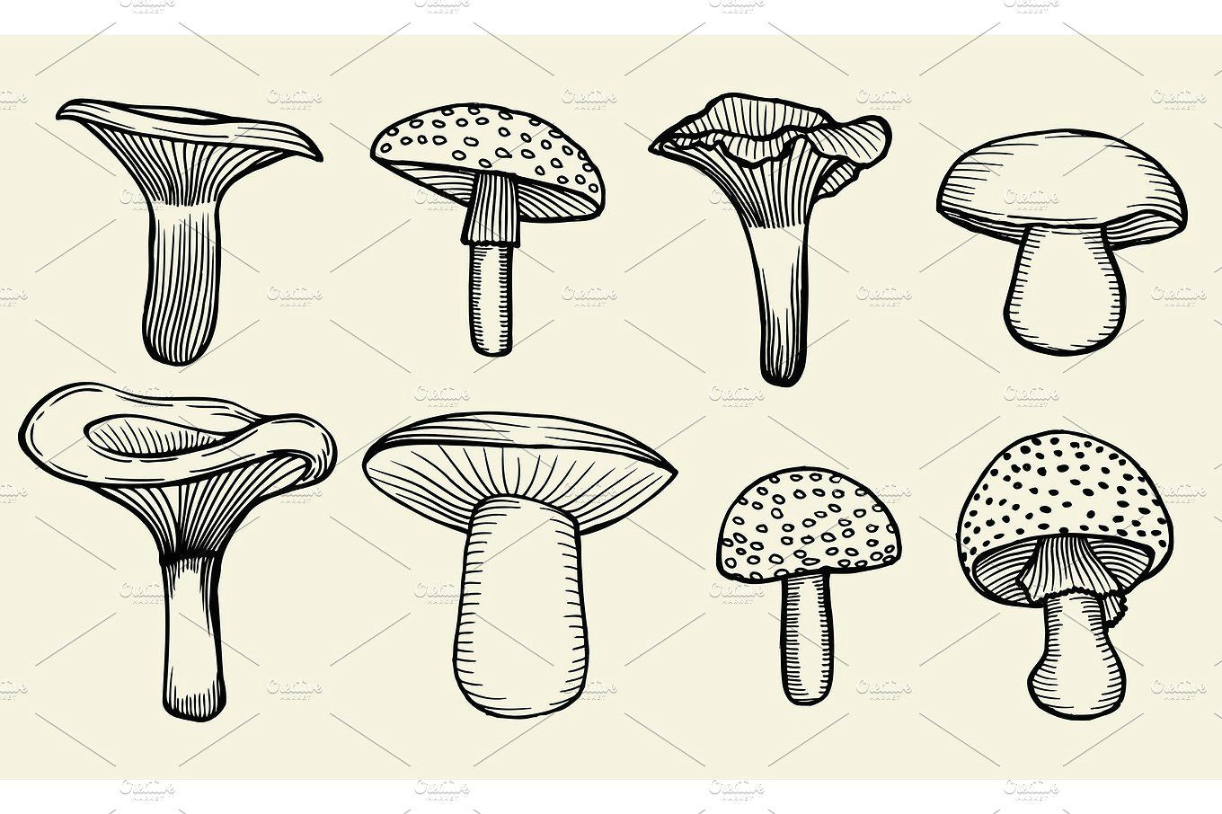 hand drawn vintage mushrooms by vector videoartshop on creativemarket