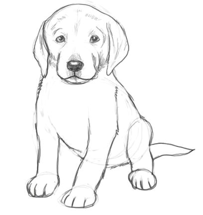 dog drawings in pencil easy for kids sketch coloring page