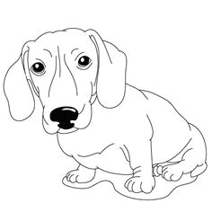 various dog breed how to draw lessons dachshund drawing dachshund art daschund