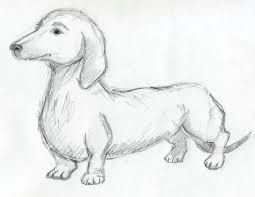 make your dog sketches simply and quickly