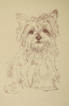 yorkshire terrier dog art portrait drawing from words your dog s name added into art free