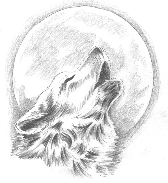 howling wolf tattoo change the moon to our dream catcher behind the wolf yes that would be so pretty great drawings wolf tattoos wolf sketch