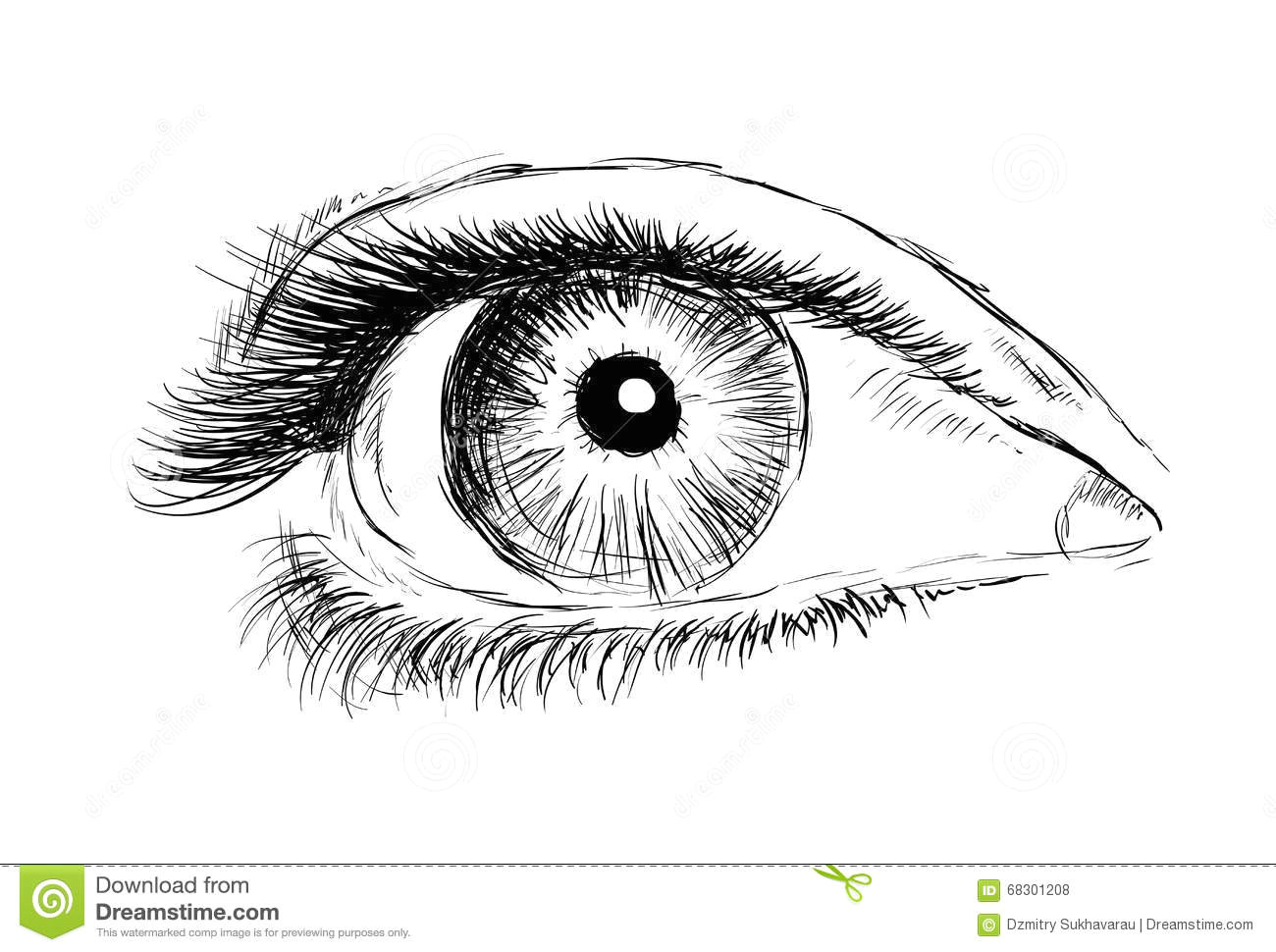 hand drawing eye on a white background