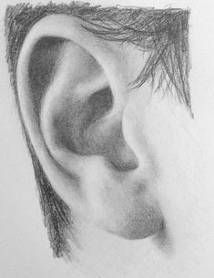 you will learn how to correctly draw an ear so that it looks realistic and natural