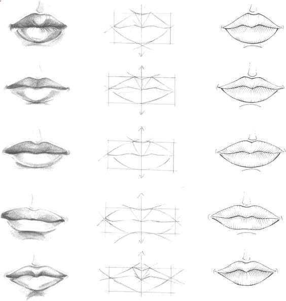delineate your lips character design references a a a c a a a a a a a find more at how to draw lips correctly the first thing to keep in mind is