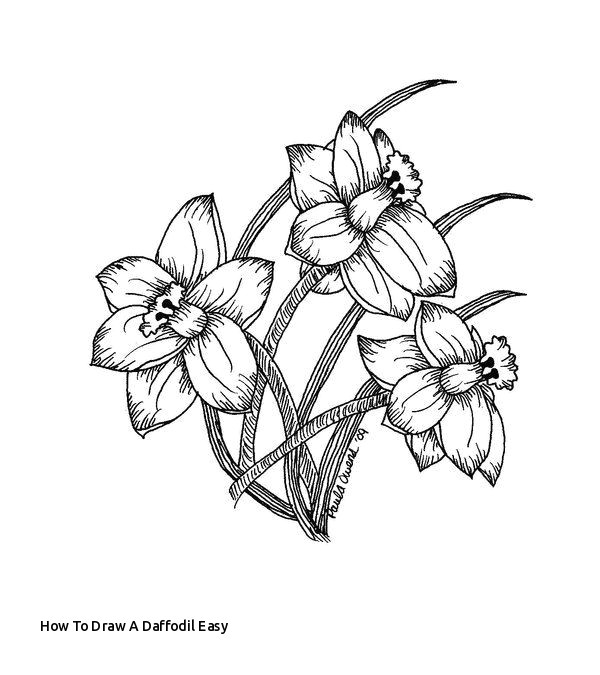 how to draw a daffodil easy the 21 best daffodil flower tattoo tumblr images on pinterest