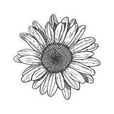 flower drawing black and white sunflower tattoo simple simple flower tattoo sunflower tattoo on