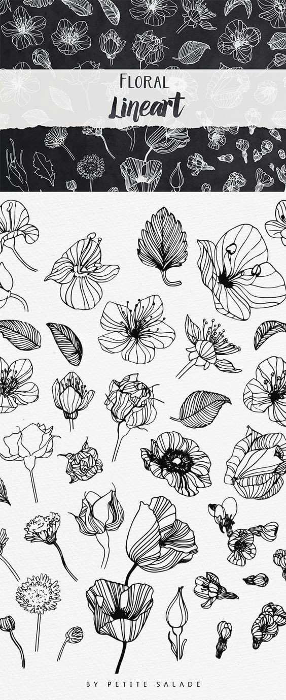 over 50 hand drawn floral elements in png eps format draw flowers drawings