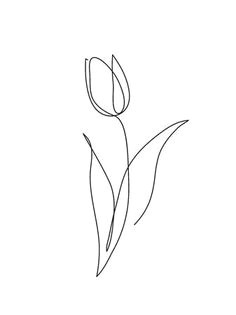 image result for one line art flower sketches drawing sketches drawing ideas line