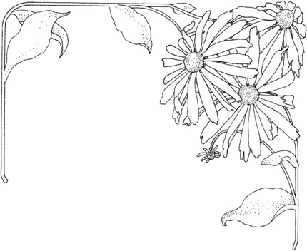 aster flower coloring pages and printable