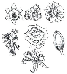 learn to draw flowers tutorial doodle drawings drawing sketches flower sketches doodle