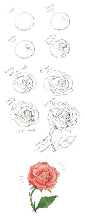 how to draw roses how to paint roses how draw flowers to draw
