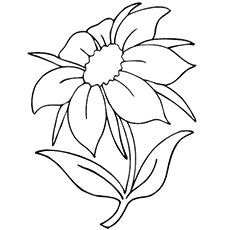 top 35 free printable flowers coloring pages online