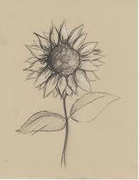 pencil drawings of flowers google search pencil sketches of flowers sunflower sketches pencil