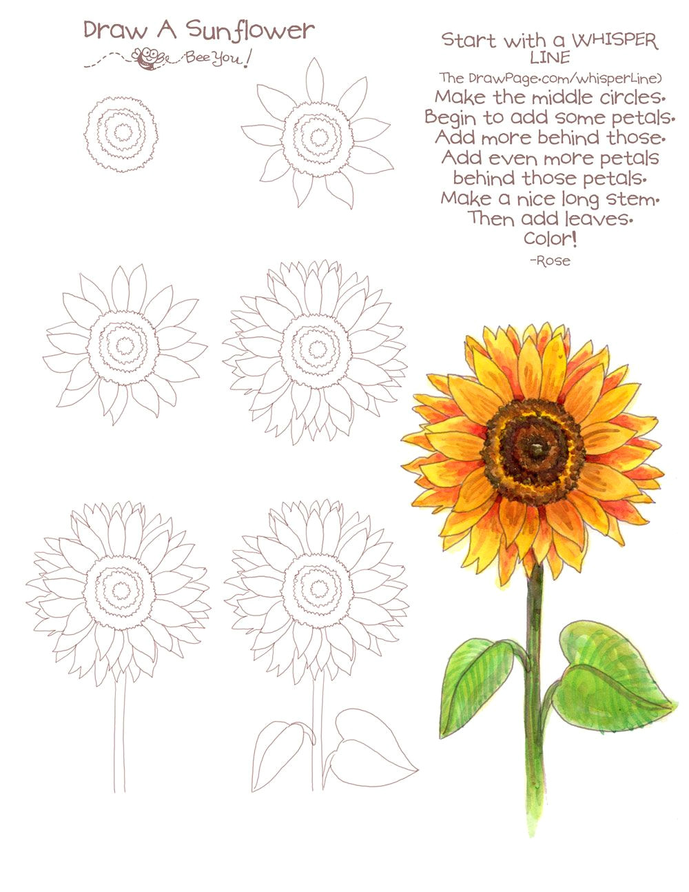 drawing a sunflower